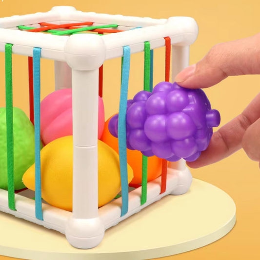 Klosslåda Elastiska Band - 6 Frukter