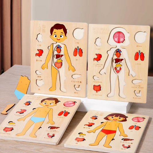 Montessori Träpussel – Lärande om Kroppsdelar för Barn