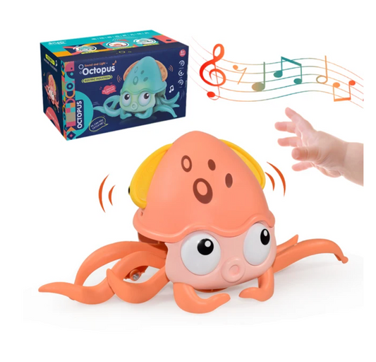 Krypande Krabba Bläckfisk