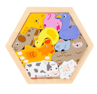 Montessori Wooden Puzzle for Toddlers