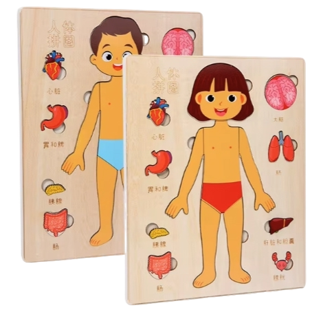 Montessori Wooden Puzzles – Learning Body Parts for Kids