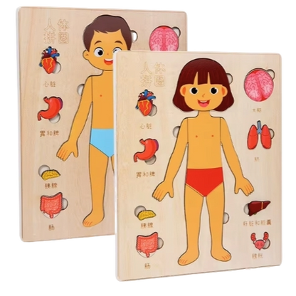 Montessori Wooden Puzzles – Learning Body Parts for Kids