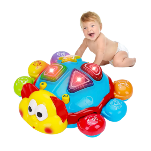 Krypande Sköldpadda – Musikalisk Leksak