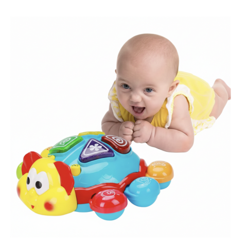 Krypande Sköldpadda – Musikalisk Leksak