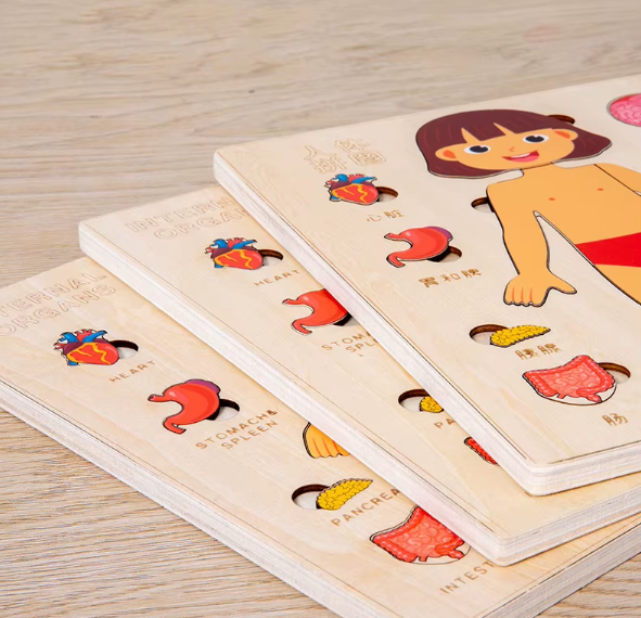 Montessori Wooden Puzzles – Learning Body Parts for Kids