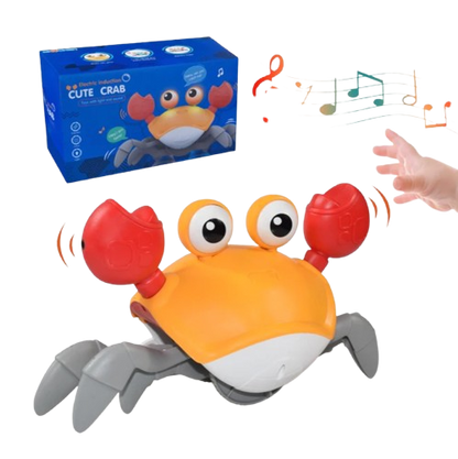 Krypande Krabba Bläckfisk
