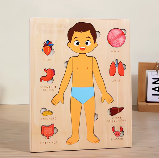 Montessori Wooden Puzzles – Learning Body Parts for Kids