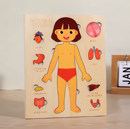 Montessori Wooden Puzzles – Learning Body Parts for Kids