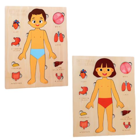 Montessori Träpussel Lärande om Kroppsdelar 2-pack